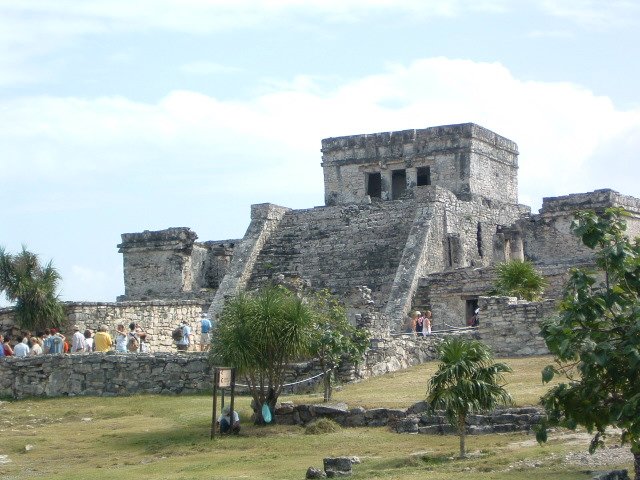 Photograph