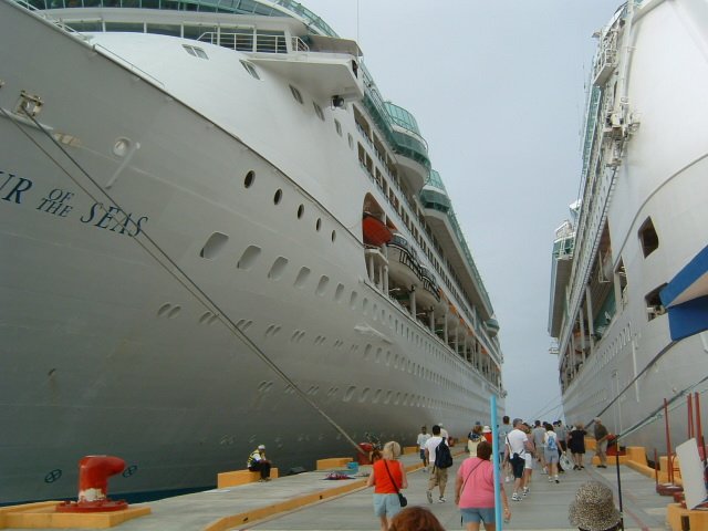 Photograph