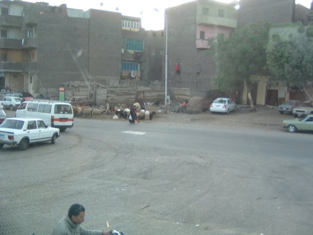 egypt003.jpg