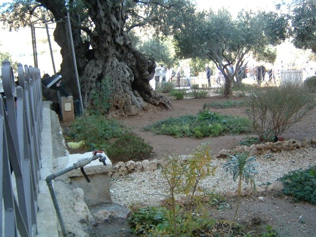 isreal009.jpg