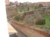 med_cruise001_small.jpg