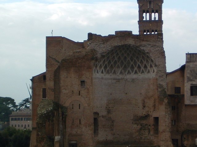 med_cruise018.jpg