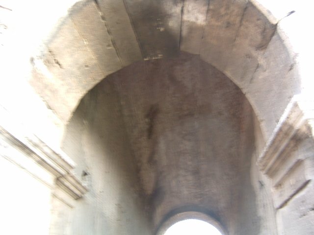med_cruise021.jpg
