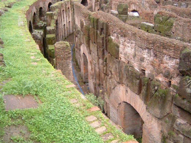med_cruise024.jpg