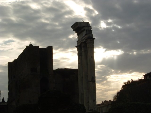 med_cruise031.jpg